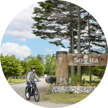 アクティビティ